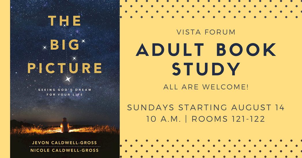 The Big Picture Adult Book Study